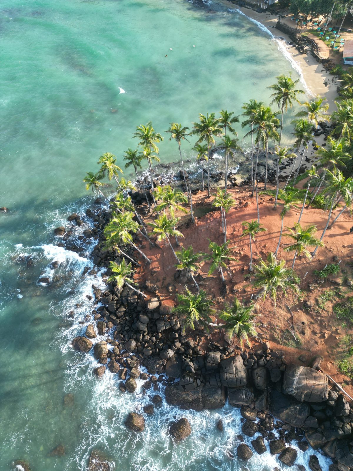 Aerial view of a palm-covered point in Sri Lanka