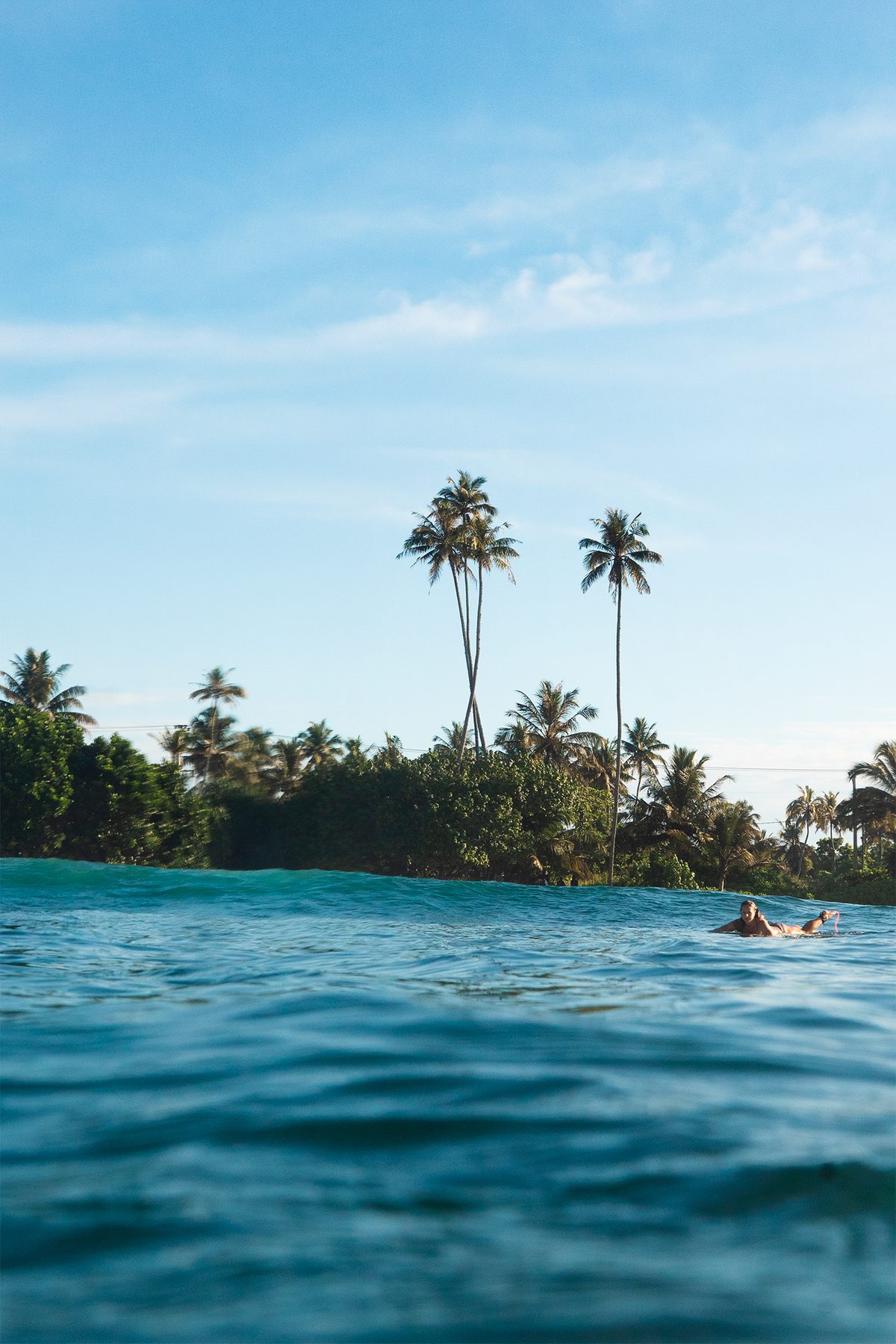 A surfer paddling out past the palm-lined coast