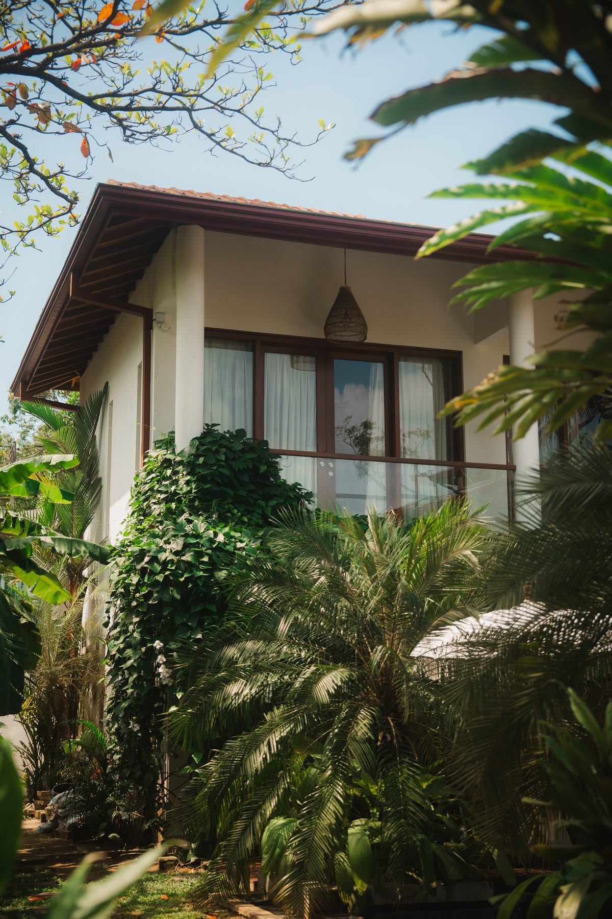 Solid Surf House villa framed by palm trees